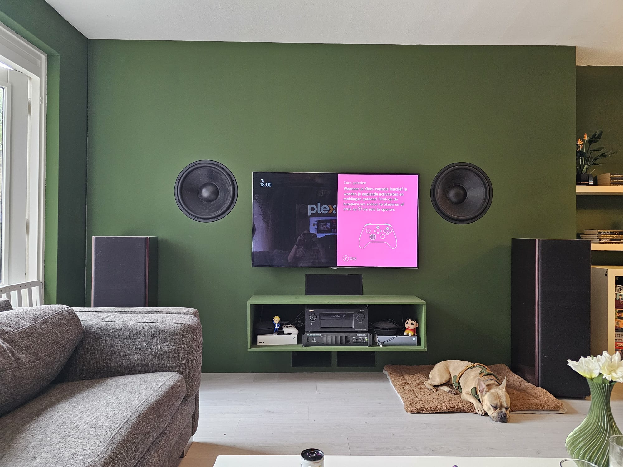 Afgewerkte groene audiowand